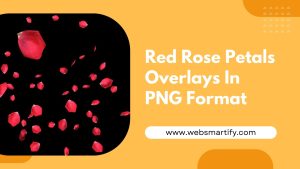 Red Rose Petals Overlays In PNG Format - Websmartify