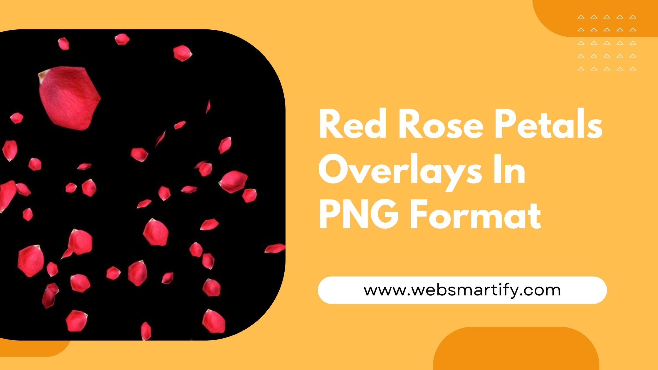 Red Rose Petals Overlays for stunning designs, perfect for weddings, romantic shoots, and photography projects - Websmartify