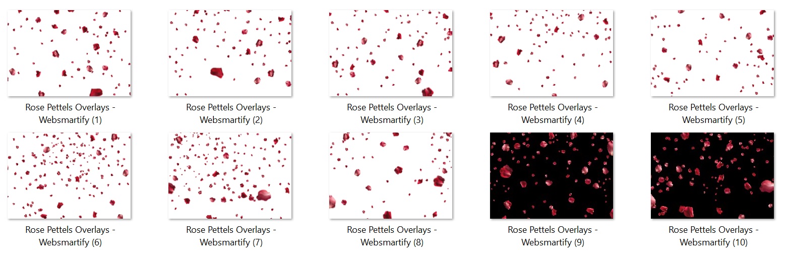 Red Rose Petals Overlays - Websmartify